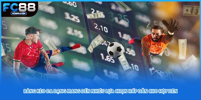 Bảng kèo đa dạng mang đến nhiều lựa chọn hấp dẫn cho hội viên