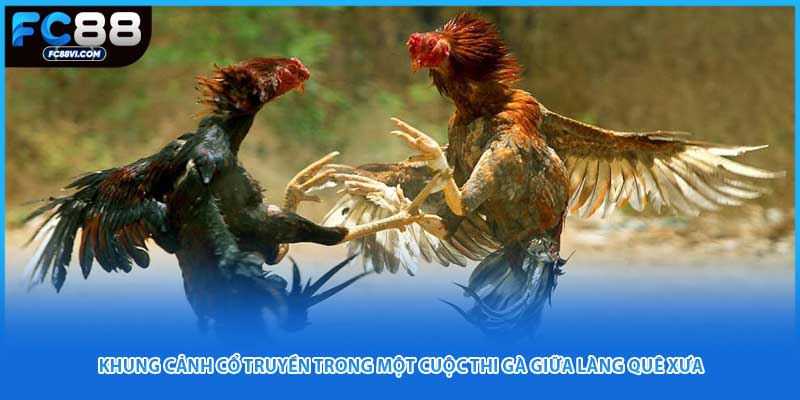 Khung cảnh cổ truyền trong một cuộc thi gà giữa làng quê xưa