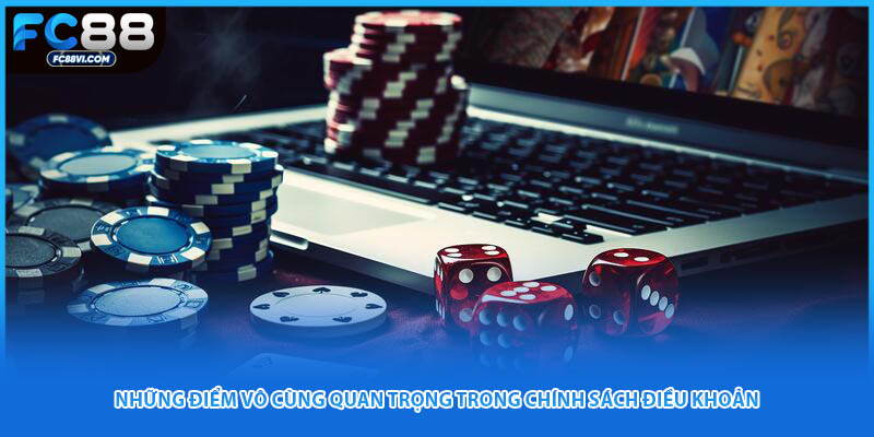 Những điểm vô cùng quan trọng trong chính sách điều khoản