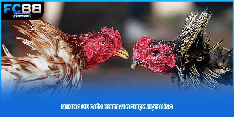 Những ưu điểm khi trải nghiệm hệ thống