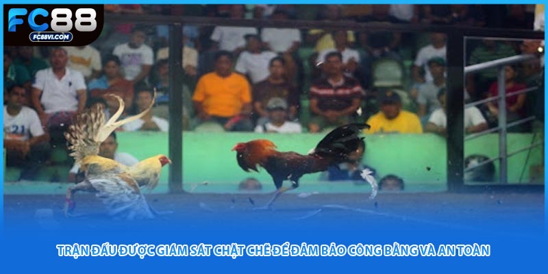 Trận đấu được giám sát chặt chẽ để đảm bảo công bằng và an toàn 